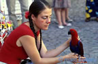 avignon, spectacles, rue, festival,